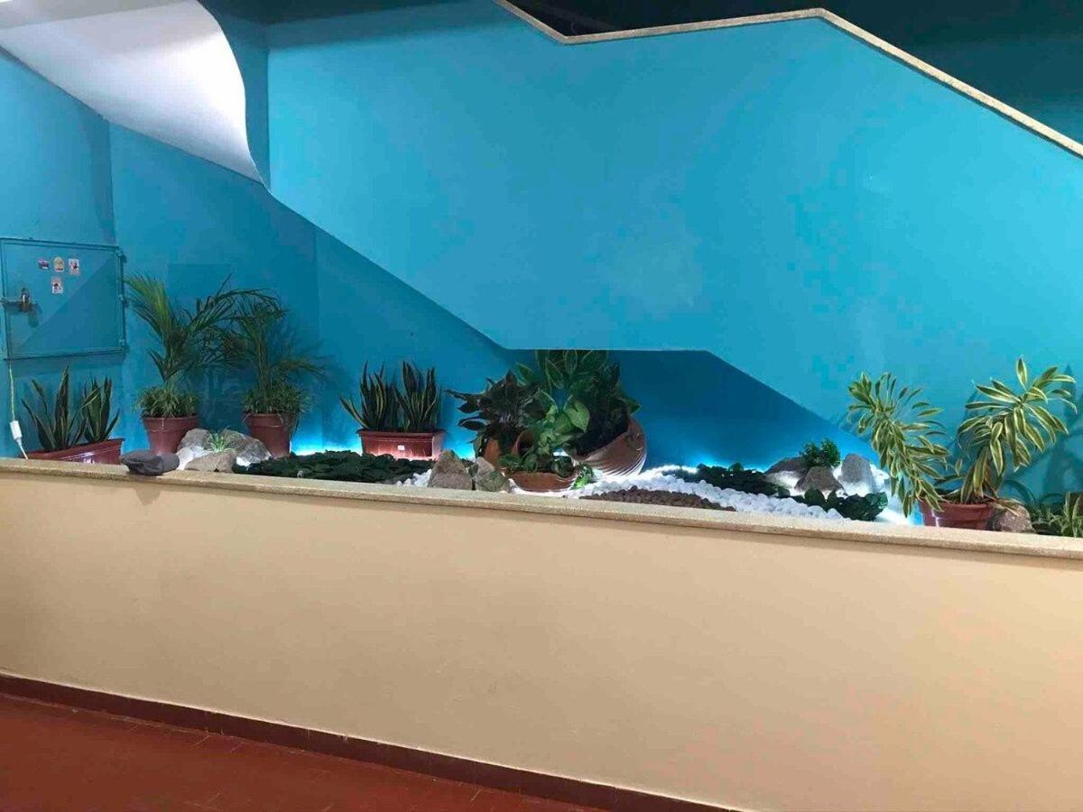 Studio Terreo - Tranquilidade Na Cidade | Wi-Fi | Poucos Metros Da Igreja Matriz. Salinopolis Bagian luar foto